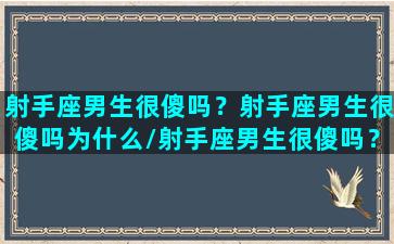 射手座男生很傻吗？射手座男生很傻吗为什么/射手座男生很傻吗？射手座男生很傻吗为什么-我的网站