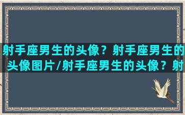 射手座男生的头像？射手座男生的头像图片/射手座男生的头像？射手座男生的头像图片-我的网站