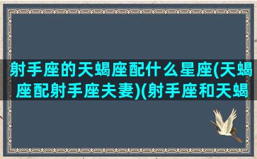 射手座的天蝎座配什么星座(天蝎座配射手座夫妻)(射手座和天蝎座般配值是多少)