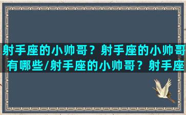 射手座的小帅哥？射手座的小帅哥有哪些/射手座的小帅哥？射手座的小帅哥有哪些-我的网站