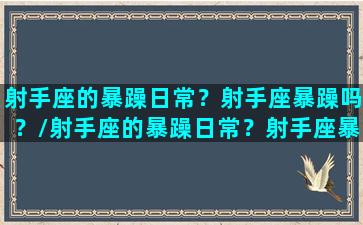 射手座的暴躁日常？射手座暴躁吗？/射手座的暴躁日常？射手座暴躁吗？-我的网站