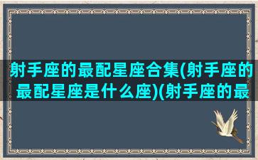 射手座的最配星座合集(射手座的最配星座是什么座)(射手座的最佳配对星座是什么星座)