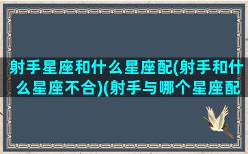 射手星座和什么星座配(射手和什么星座不合)(射手与哪个星座配对)