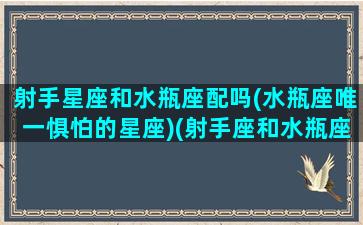 射手星座和水瓶座配吗(水瓶座唯一惧怕的星座)(射手座和水瓶座星座最配)