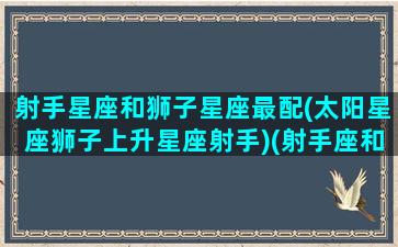 射手星座和狮子星座最配(太阳星座狮子上升星座射手)(射手座和狮子座匹配度有多少)