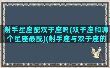 射手星座配双子座吗(双子座和哪个星座最配)(射手座与双子座的配对指数是多少)