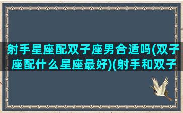 射手星座配双子座男合适吗(双子座配什么星座最好)(射手和双子星座最配)