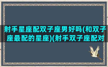 射手星座配双子座男好吗(和双子座最配的星座)(射手双子座配对指数)