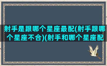 射手是跟哪个星座最配(射手跟哪个星座不合)(射手和哪个星座配)