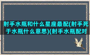 射手水瓶和什么星座最配(射手死于水瓶什么意思)(射手水瓶配对)