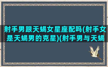 射手男跟天蝎女星座配吗(射手女是天蝎男的克星)(射手男与天蝎女长期相处)