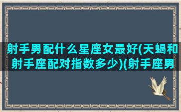 射手男配什么星座女最好(天蝎和射手座配对指数多少)(射手座男配天蝎座女合适吗)