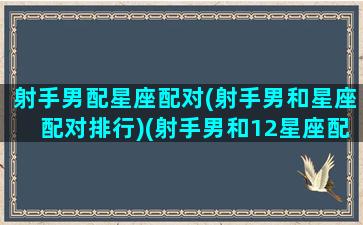 射手男配星座配对(射手男和星座配对排行)(射手男和12星座配对指数)