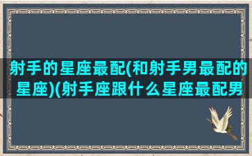 射手的星座最配(和射手男最配的星座)(射手座跟什么星座最配男)