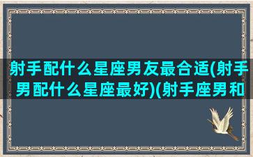 射手配什么星座男友最合适(射手男配什么星座最好)(射手座男和什么星座最搭配)