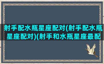 射手配水瓶星座配对(射手配水瓶星座配对)(射手和水瓶星座最配对)