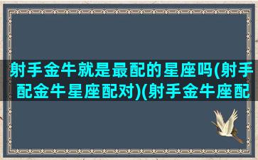 射手金牛就是最配的星座吗(射手配金牛星座配对)(射手金牛座配对指数)