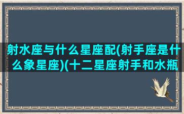 射水座与什么星座配(射手座是什么象星座)(十二星座射手和水瓶在一起会怎样)