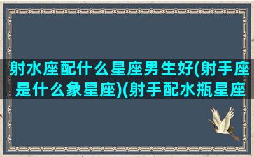 射水座配什么星座男生好(射手座是什么象星座)(射手配水瓶星座配对)