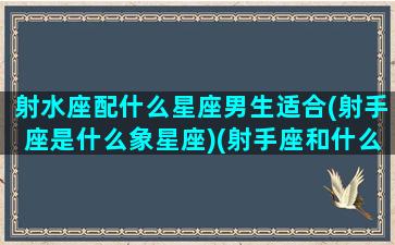 射水座配什么星座男生适合(射手座是什么象星座)(射手座和什么星座最配水瓶)