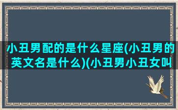 小丑男配的是什么星座(小丑男的英文名是什么)(小丑男小丑女叫什么)