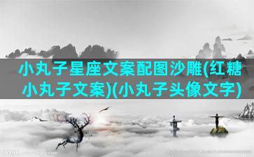 小丸子星座文案配图沙雕(红糖小丸子文案)(小丸子头像文字)