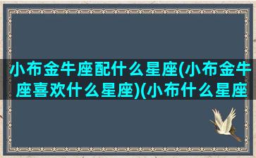 小布金牛座配什么星座(小布金牛座喜欢什么星座)(小布什么星座最厉害)