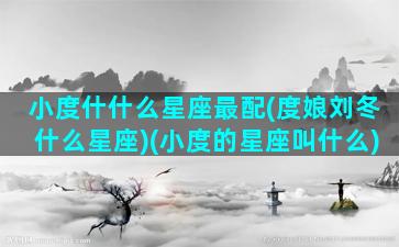 小度什什么星座最配(度娘刘冬什么星座)(小度的星座叫什么)