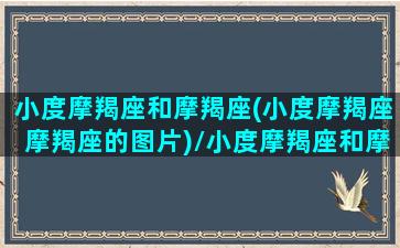 小度摩羯座和摩羯座(小度摩羯座摩羯座的图片)/小度摩羯座和摩羯座(小度摩羯座摩羯座的图片)-我的网站