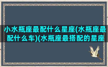 小水瓶座最配什么星座(水瓶座最配什么车)(水瓶座最搭配的星座)