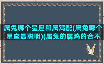 属兔哪个星座和属鸡配(属兔哪个星座最聪明)(属兔的属鸡的合不合)