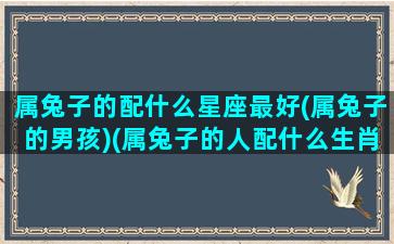 属兔子的配什么星座最好(属兔子的男孩)(属兔子的人配什么生肖好)