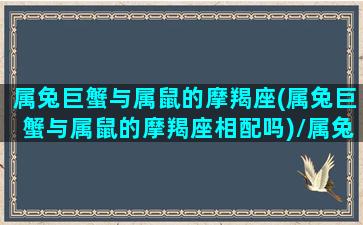 属兔巨蟹与属鼠的摩羯座(属兔巨蟹与属鼠的摩羯座相配吗)/属兔巨蟹与属鼠的摩羯座(属兔巨蟹与属鼠的摩羯座相配吗)-我的网站