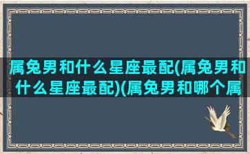 属兔男和什么星座最配(属兔男和什么星座最配)(属兔男和哪个属相最配)