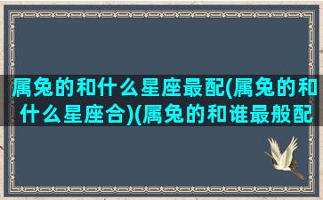 属兔的和什么星座最配(属兔的和什么星座合)(属兔的和谁最般配)