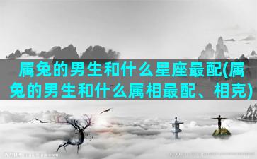 属兔的男生和什么星座最配(属兔的男生和什么属相最配、相克)