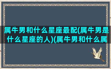 属牛男和什么星座最配(属牛男是什么星座的人)(属牛男和什么属相最配婚姻最合适)