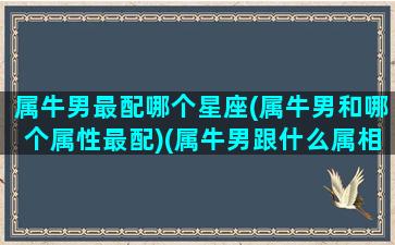 属牛男最配哪个星座(属牛男和哪个属性最配)(属牛男跟什么属相最配对)