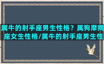 属牛的射手座男生性格？属狗摩羯座女生性格/属牛的射手座男生性格？属狗摩羯座女生性格-我的网站