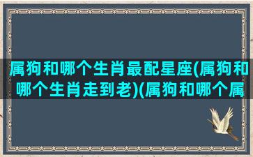 属狗和哪个生肖最配星座(属狗和哪个生肖走到老)(属狗和哪个属相般配)