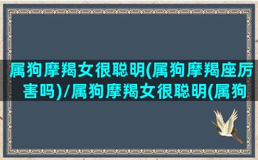 属狗摩羯女很聪明(属狗摩羯座厉害吗)/属狗摩羯女很聪明(属狗摩羯座厉害吗)-我的网站