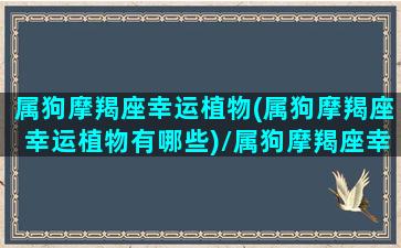 属狗摩羯座幸运植物(属狗摩羯座幸运植物有哪些)/属狗摩羯座幸运植物(属狗摩羯座幸运植物有哪些)-我的网站