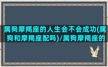 属狗摩羯座的人生会不会成功(属狗和摩羯座配吗)/属狗摩羯座的人生会不会成功(属狗和摩羯座配吗)-我的网站