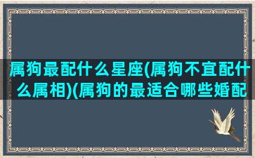 属狗最配什么星座(属狗不宜配什么属相)(属狗的最适合哪些婚配)