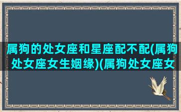 属狗的处女座和星座配不配(属狗处女座女生姻缘)(属狗处女座女2021年运势及运程)