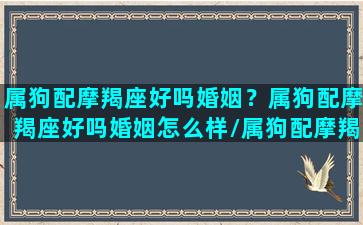 属狗配摩羯座好吗婚姻？属狗配摩羯座好吗婚姻怎么样/属狗配摩羯座好吗婚姻？属狗配摩羯座好吗婚姻怎么样-我的网站