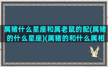 属猪什么星座和属老鼠的配(属猪的什么星座)(属猪的和什么属相相符合)