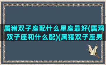 属猪双子座配什么星座最好(属鸡双子座和什么配)(属猪双子座男的性格和特点)