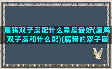 属猪双子座配什么星座最好(属鸡双子座和什么配)(属猪的双子座女人她们怎么样啊)