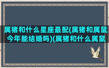 属猪和什么星座最配(属猪和属鼠今年能结婚吗)(属猪和什么属鼠相配吗)